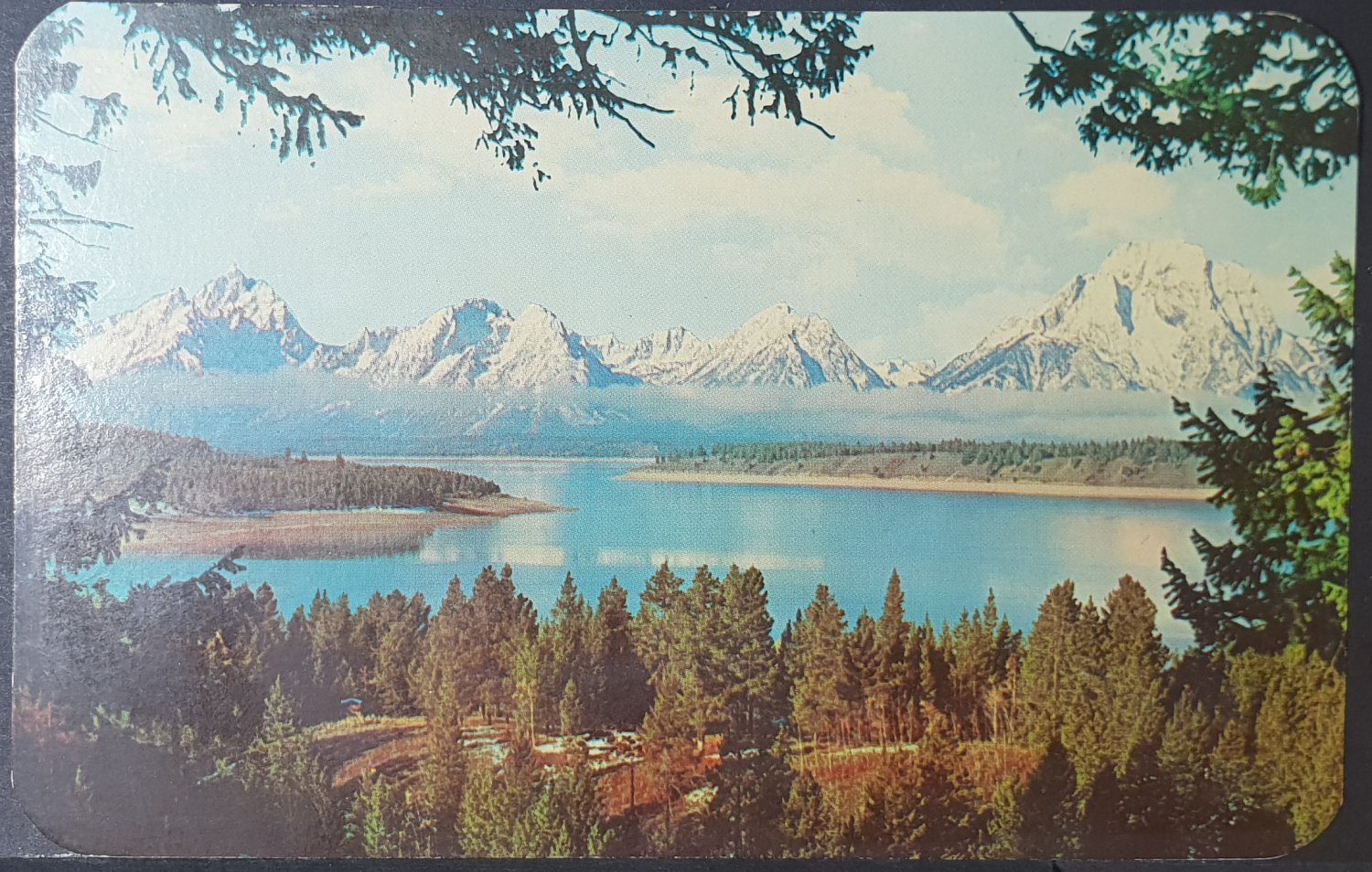 (image for) postcard USA - WY - Wyoming #0009